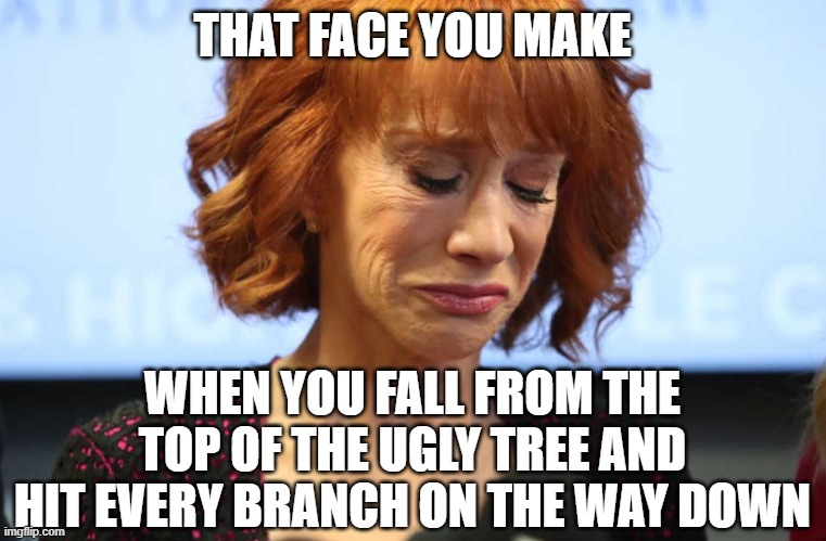 Kathy Griffin Crying | THAT FACE YOU MAKE; WHEN YOU FALL FROM THE TOP OF THE UGLY TREE AND HIT EVERY BRANCH ON THE WAY DOWN | image tagged in kathy griffin crying | made w/ Imgflip meme maker