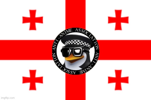 Georgian AAA branch | image tagged in flag of georgia,anti anime | made w/ Imgflip meme maker