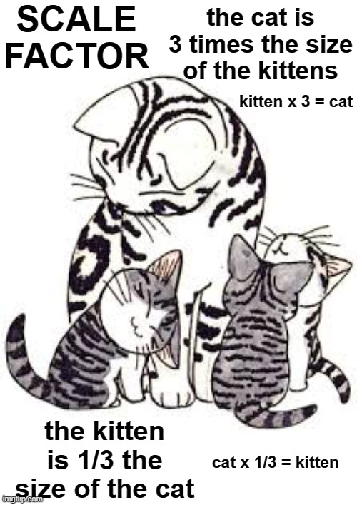 scale factor | SCALE
FACTOR; the cat is 3 times the size of the kittens; kitten x 3 = cat; the kitten is 1/3 the size of the cat; cat x 1/3 = kitten | image tagged in chi's sweet home cat and kittens,math,middle school,kitten,cat,cute | made w/ Imgflip meme maker