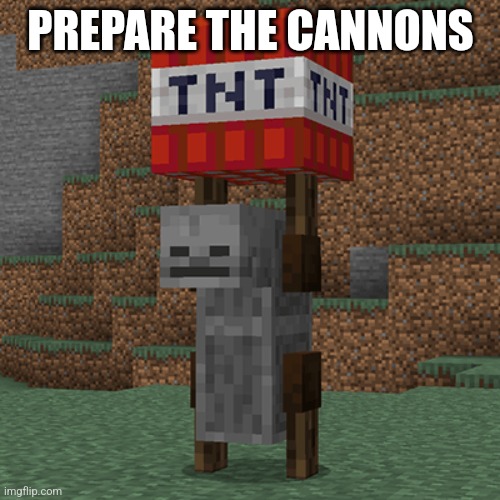 Tnt yeeter | PREPARE THE CANNONS | image tagged in tnt yeeter | made w/ Imgflip meme maker