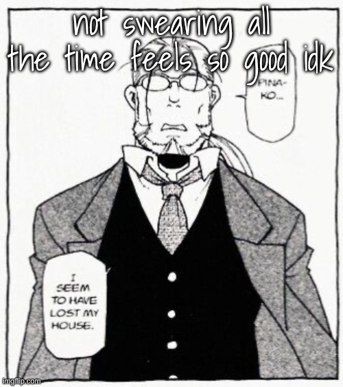 hoenheim | not swearing all the time feels so good idk | image tagged in hoenheim | made w/ Imgflip meme maker