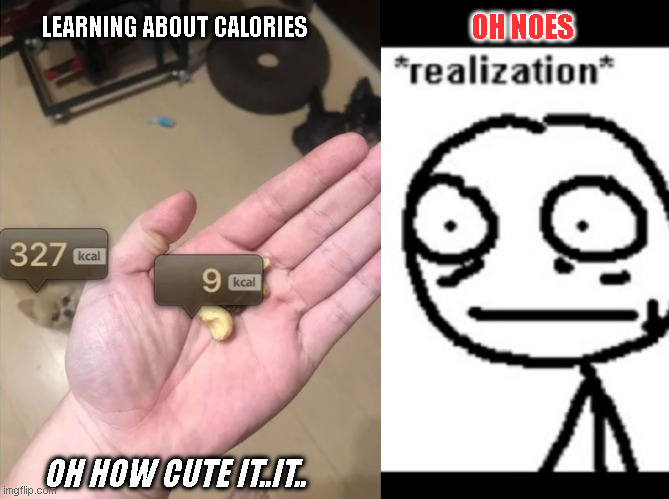 Learning About Calories Realization | OH NOES; LEARNING ABOUT CALORIES; OH HOW CUTE IT..IT.. | image tagged in ohno,realization,calories,dogs,nuts | made w/ Imgflip meme maker