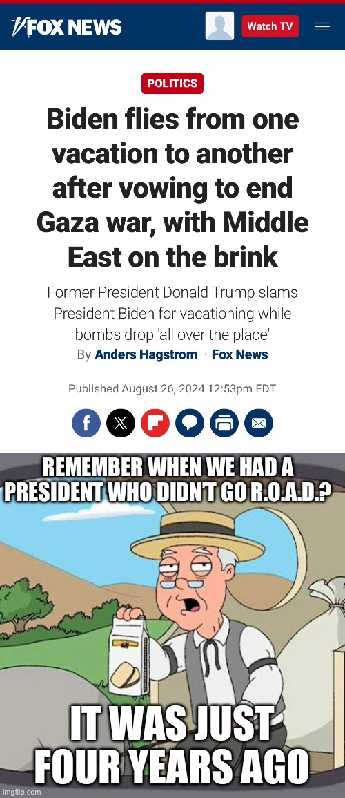 REMEMBER WHEN WE HAD A PRESIDENT WHO DIDN’T GO R.O.A.D.? IT WAS JUST FOUR YEARS AGO | image tagged in memes,pepperidge farm remembers | made w/ Imgflip meme maker