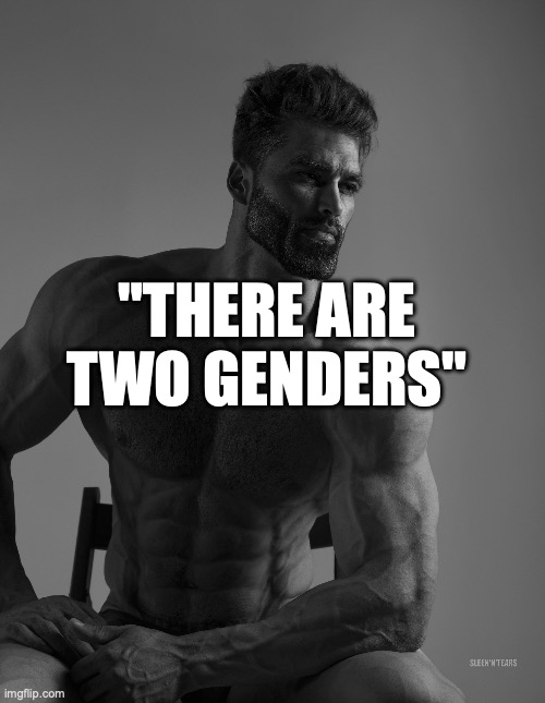 Real | "THERE ARE TWO GENDERS" | image tagged in giga chad | made w/ Imgflip meme maker