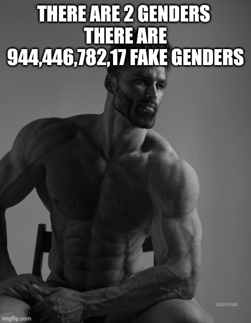 Giga Chad | THERE ARE 2 GENDERS 
THERE ARE 944,446,782,17 FAKE GENDERS | image tagged in giga chad | made w/ Imgflip meme maker