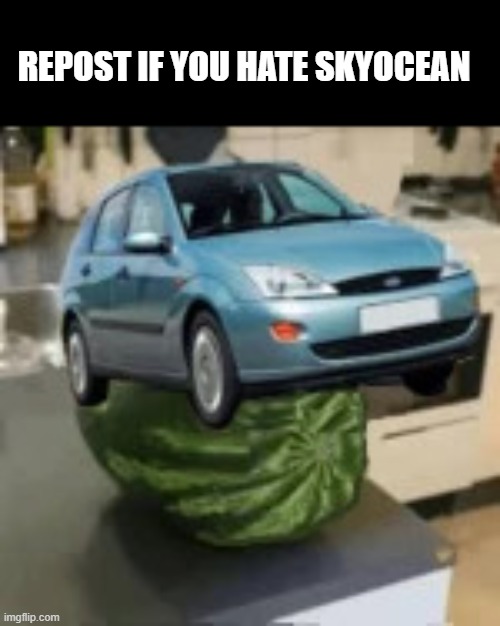 FocusMelon | REPOST IF YOU HATE SKYOCEAN | image tagged in focusmelon | made w/ Imgflip meme maker