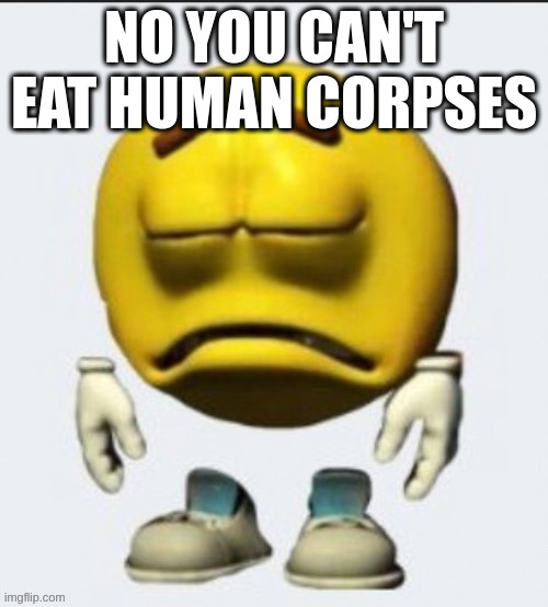 Sad emoji | NO YOU CAN'T EAT HUMAN CORPSES | image tagged in sad emoji | made w/ Imgflip meme maker