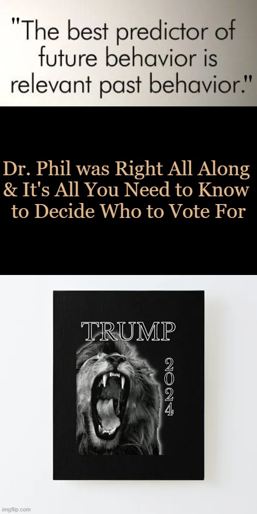 Four Years of "MAGA" or Four Years of "JOY"? | "; "; Dr. Phil was Right All Along 
& It's All You Need to Know 
to Decide Who to Vote For | image tagged in politics,donald trump,kamala harris,election,maga,joy | made w/ Imgflip meme maker