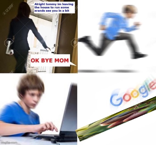 ok bye mom meme | image tagged in ok bye mom meme | made w/ Imgflip meme maker