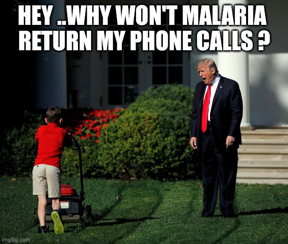 melanoma phone call | HEY ..WHY WON'T MALARIA 
RETURN MY PHONE CALLS ? | image tagged in trump on lawn,melaria | made w/ Imgflip meme maker