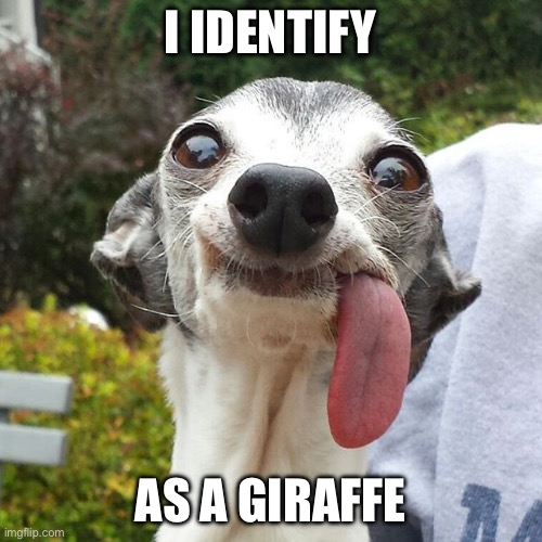 Dog tongue | I IDENTIFY AS A GIRAFFE | image tagged in dog tongue | made w/ Imgflip meme maker