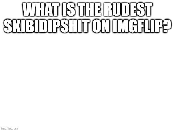 WHAT IS THE RUDEST SKIBIDIPSHIT ON IMGFLIP? | made w/ Imgflip meme maker