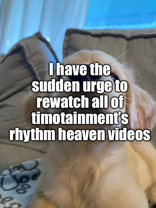 I have the sudden urge to rewatch all of timotainment’s rhythm heaven videos | made w/ Imgflip meme maker