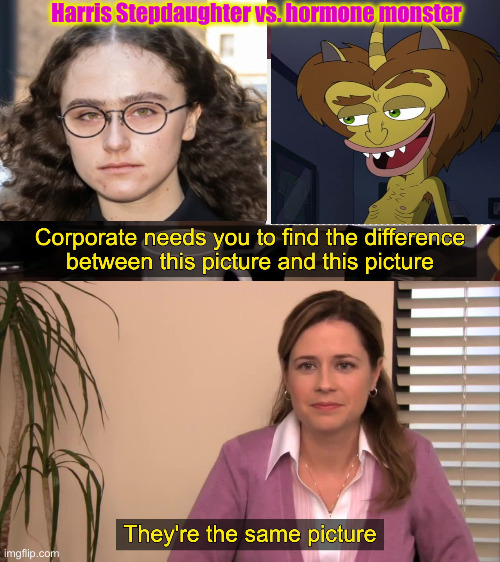 Ella Is Running A Scam, Too | Harris Stepdaughter vs. hormone monster | image tagged in there the same picture,political meme,politics,funny memes,funny | made w/ Imgflip meme maker