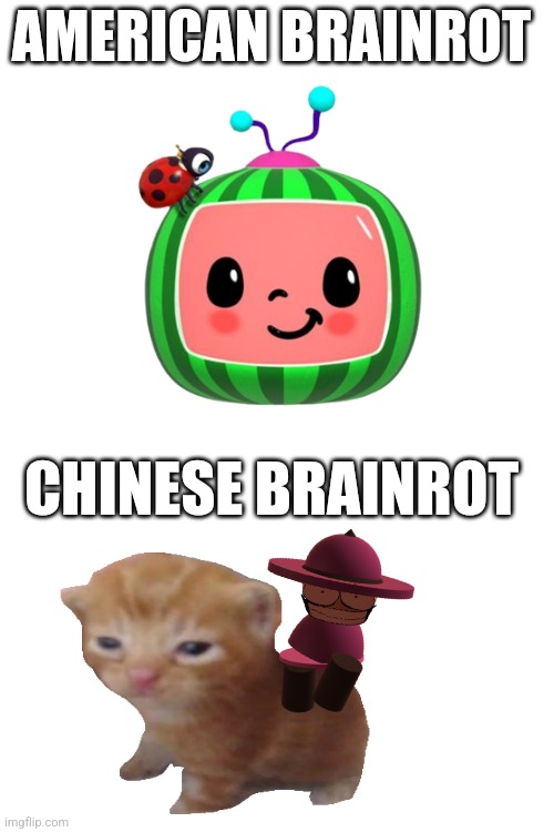 I user Banbodi as the person riding the cat like a horse (fuck you autocorrect) | AMERICAN BRAINROT; CHINESE BRAINROT | made w/ Imgflip meme maker