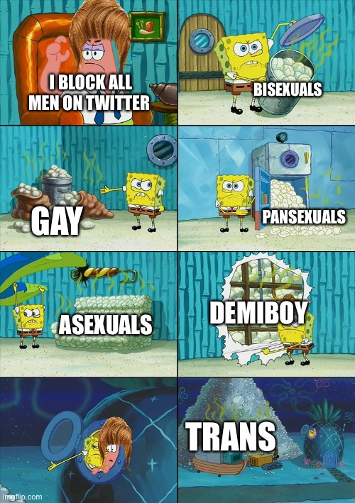 literally twitter users in a nutshell | BISEXUALS; I BLOCK ALL MEN ON TWITTER; PANSEXUALS; GAY; DEMIBOY; ASEXUALS; TRANS | image tagged in spongebob shows patrick garbage | made w/ Imgflip meme maker