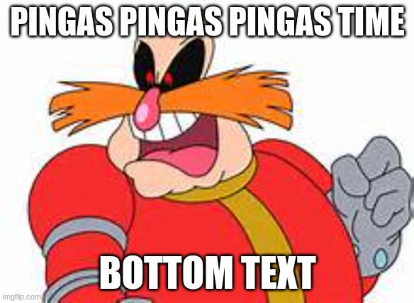 PINGAS | PINGAS PINGAS PINGAS TIME; BOTTOM TEXT | image tagged in pingas | made w/ Imgflip meme maker