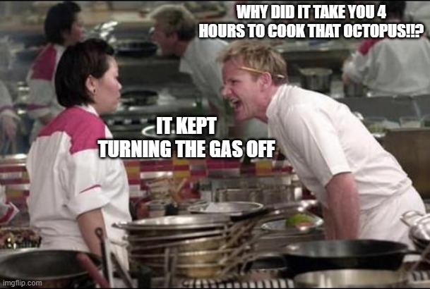 Angry Chef Gordon Ramsay | WHY DID IT TAKE YOU 4 HOURS TO COOK THAT OCTOPUS!!? IT KEPT TURNING THE GAS OFF | image tagged in memes,angry chef gordon ramsay | made w/ Imgflip meme maker