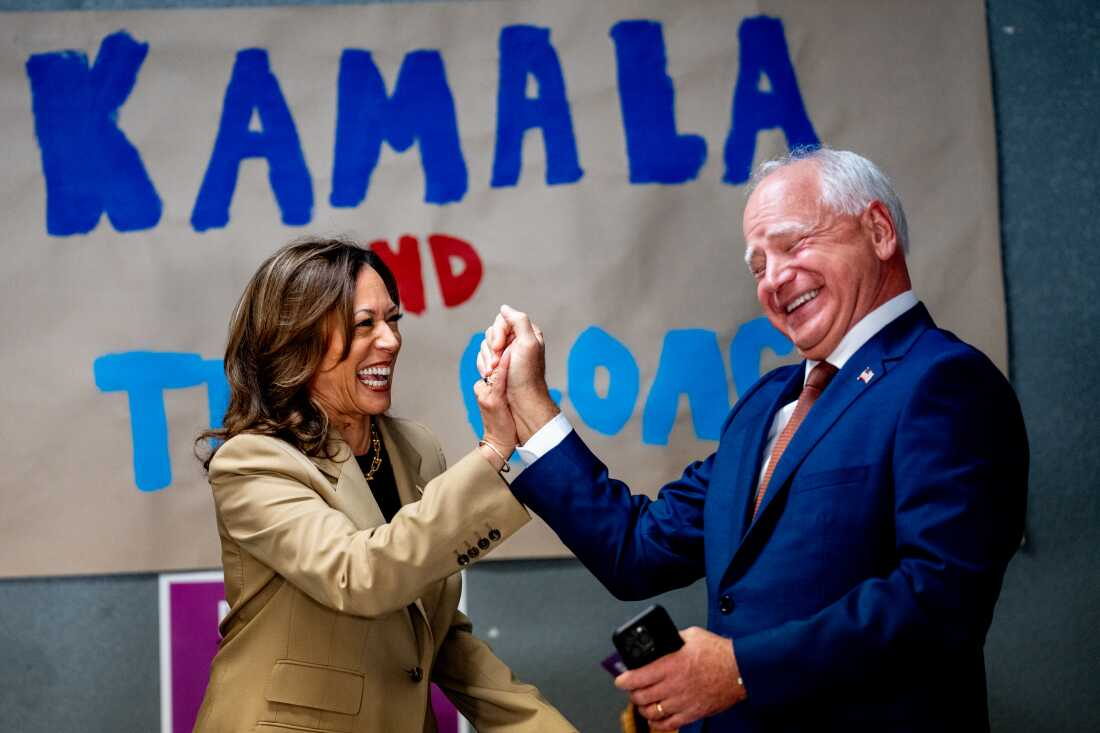 High Quality Kamala Blank Meme Template