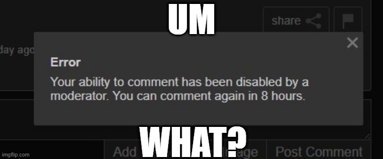 UM; WHAT? | image tagged in ban,seriously wtf | made w/ Imgflip meme maker