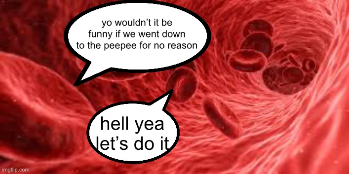 yo wouldn’t it be funny if we went down to the peepee for no reason; hell yea let’s do it | made w/ Imgflip meme maker