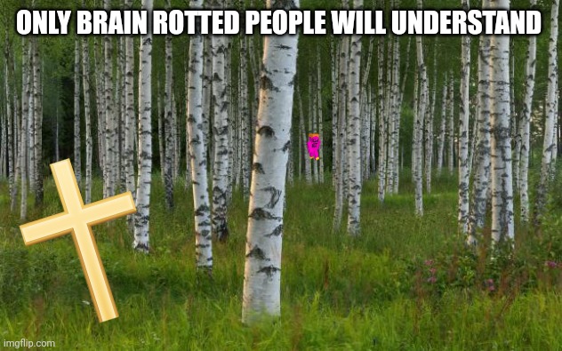 birch trees | ONLY BRAIN ROTTED PEOPLE WILL UNDERSTAND | image tagged in birch trees | made w/ Imgflip meme maker