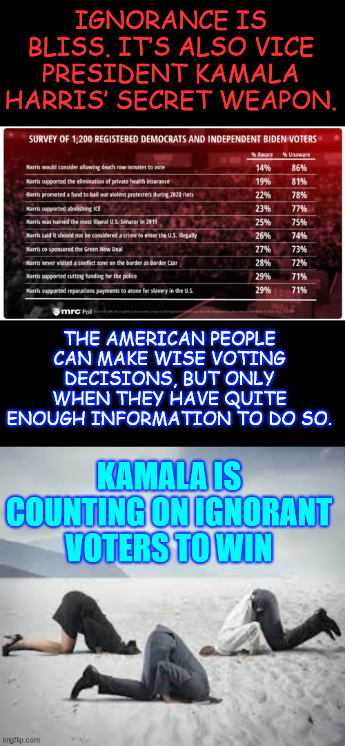 Kamala is counting on ignorant voters... that's why they have her avoiding the press | IGNORANCE IS BLISS. IT’S ALSO VICE PRESIDENT KAMALA HARRIS’ SECRET WEAPON. THE AMERICAN PEOPLE CAN MAKE WISE VOTING DECISIONS, BUT ONLY WHEN THEY HAVE QUITE ENOUGH INFORMATION TO DO SO. KAMALA IS COUNTING ON IGNORANT VOTERS TO WIN | image tagged in ostrich head in sand,ignorant voters,the only hope for kamala | made w/ Imgflip meme maker