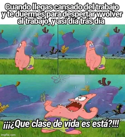 91hs2n.jpg