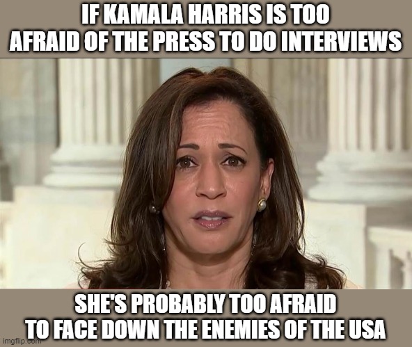 Kamala Harris is afraid of her own shadow | IF KAMALA HARRIS IS TOO AFRAID OF THE PRESS TO DO INTERVIEWS; SHE'S PROBABLY TOO AFRAID TO FACE DOWN THE ENEMIES OF THE USA | image tagged in kamala harris | made w/ Imgflip meme maker