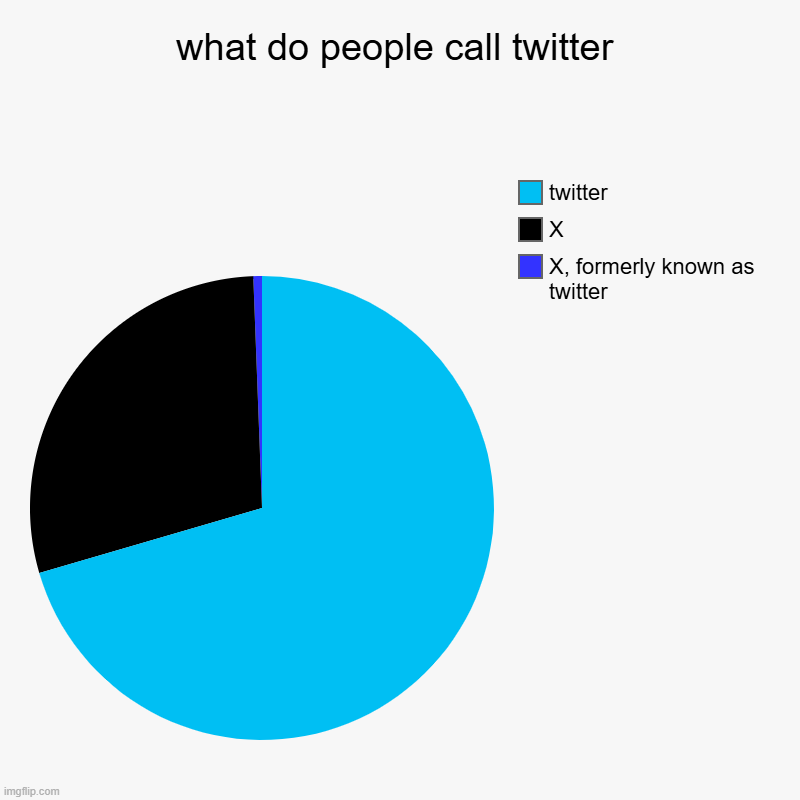 it's true tho | what do people call twitter | X, formerly known as twitter, X, twitter | image tagged in charts,pie charts,so true,bruh | made w/ Imgflip chart maker