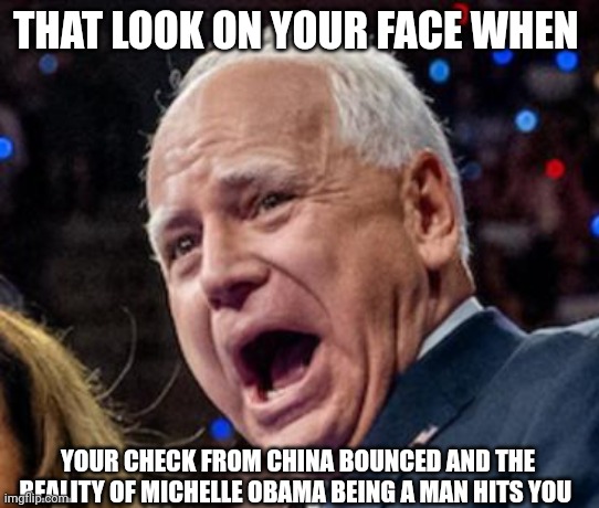 Tim Walz meme | THAT LOOK ON YOUR FACE WHEN; YOUR CHECK FROM CHINA BOUNCED AND THE REALITY OF MICHELLE OBAMA BEING A MAN HITS YOU | image tagged in democrat party | made w/ Imgflip meme maker