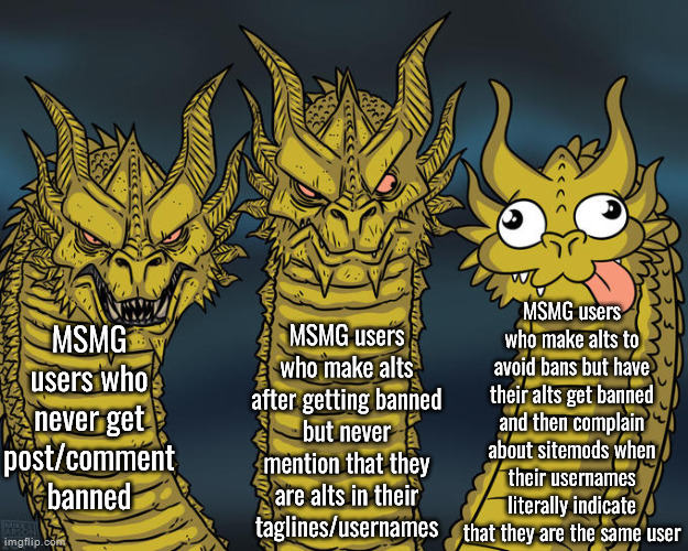 Three-headed Dragon | MSMG users who make alts to avoid bans but have their alts get banned and then complain about sitemods when their usernames literally indicate that they are the same user; MSMG users who never get post/comment banned; MSMG users who make alts after getting banned but never mention that they are alts in their taglines/usernames | image tagged in three-headed dragon | made w/ Imgflip meme maker