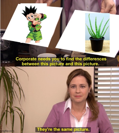 They're The Same Picture | image tagged in memes,they're the same picture | made w/ Imgflip meme maker