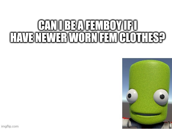 CAN I BE A FEMBOY IF I HAVE NEWER WORN FEM CLOTHES? | image tagged in what can i say except aaaaaaaaaaa | made w/ Imgflip meme maker