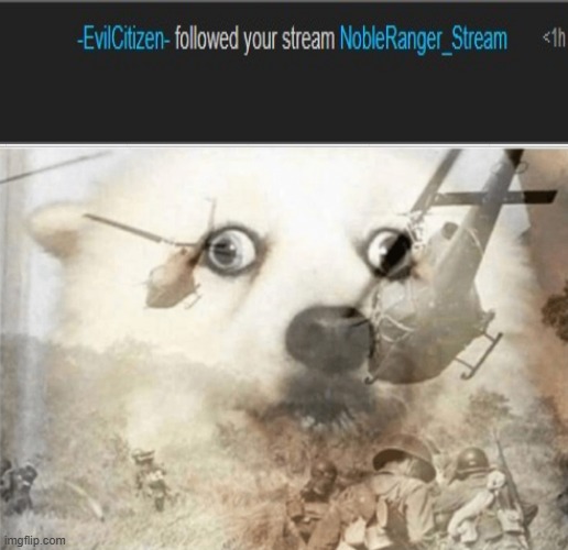 PTSD dog | image tagged in ptsd dog | made w/ Imgflip meme maker