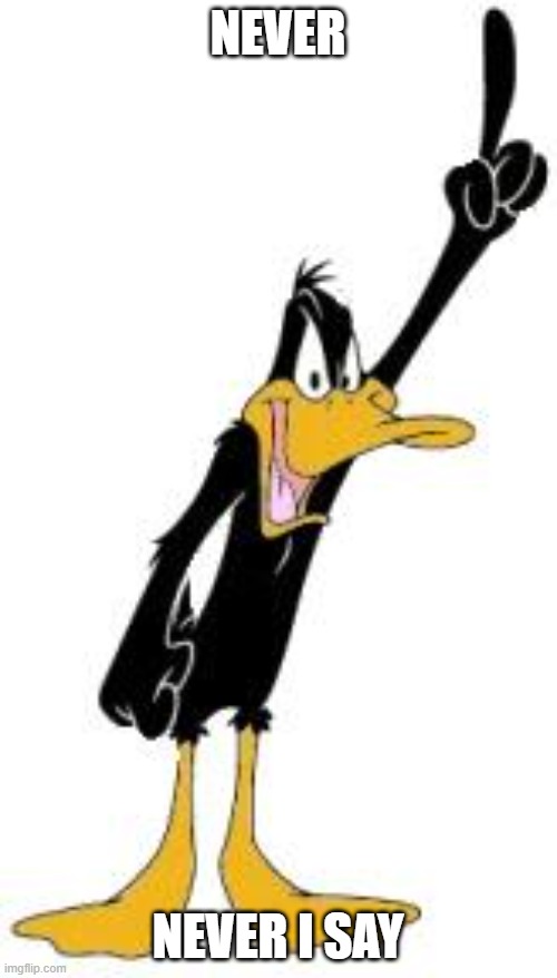 warner bros denies you again | NEVER; NEVER I SAY | image tagged in daffy duck,warner bros discovery,denied | made w/ Imgflip meme maker