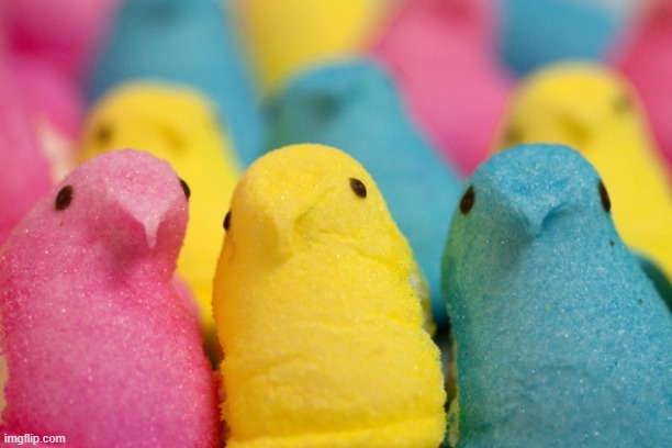 Peeps | image tagged in peeps | made w/ Imgflip meme maker