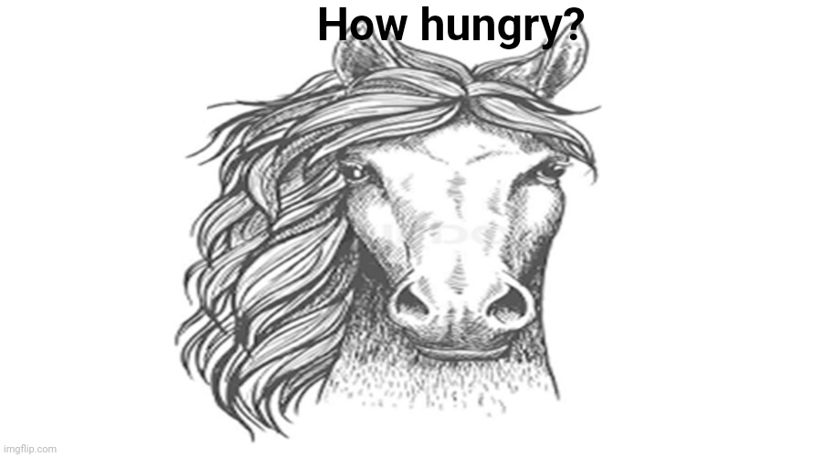 How hungry? | image tagged in how hungry | made w/ Imgflip meme maker