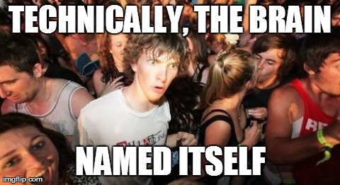 Sudden Clarity Clarence Meme | TECHNICALLY, THE BRAIN NAMED ITSELF | image tagged in memes,sudden clarity clarence | made w/ Imgflip meme maker