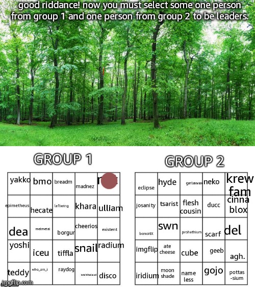 good riddance! now you must select some one person from group 1 and one person from group 2 to be leaders. | image tagged in green forest,the games | made w/ Imgflip meme maker