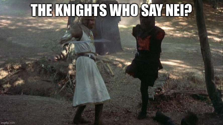 Nei | THE KNIGHTS WHO SAY NEI? | image tagged in black knight | made w/ Imgflip meme maker