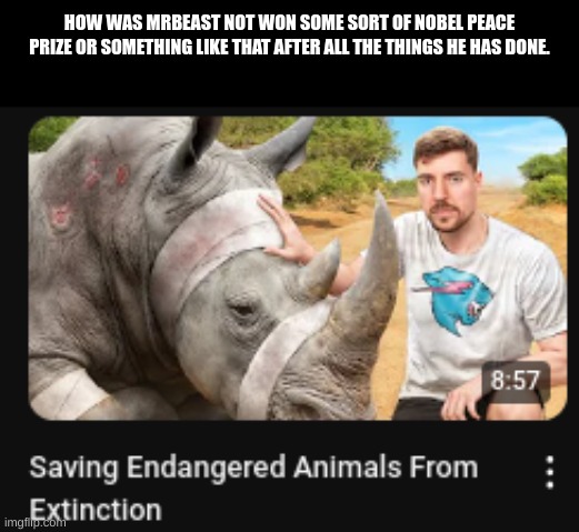 This man is a saint. | HOW WAS MRBEAST NOT WON SOME SORT OF NOBEL PEACE PRIZE OR SOMETHING LIKE THAT AFTER ALL THE THINGS HE HAS DONE. | image tagged in memes,mrbeast | made w/ Imgflip meme maker