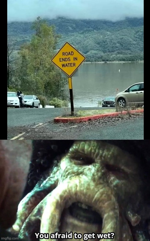 I'M GOING IN | image tagged in afraid to get wet,lake,water,stupid signs,pirates of the caribbean | made w/ Imgflip meme maker