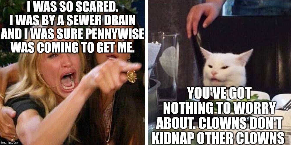 Smudge that darn cat with Karen | I WAS SO SCARED. I WAS BY A SEWER DRAIN AND I WAS SURE PENNYWISE WAS COMING TO GET ME. YOU'VE GOT NOTHING TO WORRY ABOUT. CLOWNS DON'T KIDNAP OTHER CLOWNS | image tagged in smudge that darn cat with karen | made w/ Imgflip meme maker