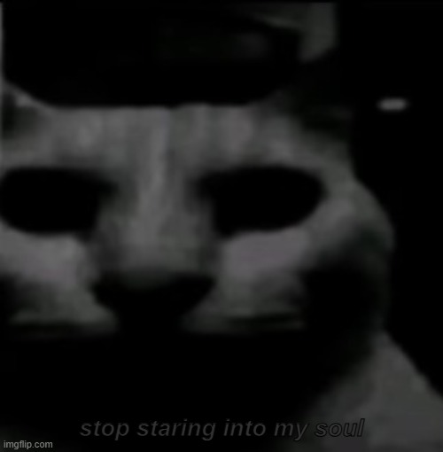 stop staring into my soul | made w/ Imgflip meme maker