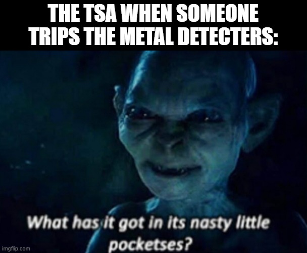 or up its... ykw I'm not gonna finish that | THE TSA WHEN SOMEONE TRIPS THE METAL DETECTERS: | image tagged in what has it got in its nasty little pocketses | made w/ Imgflip meme maker