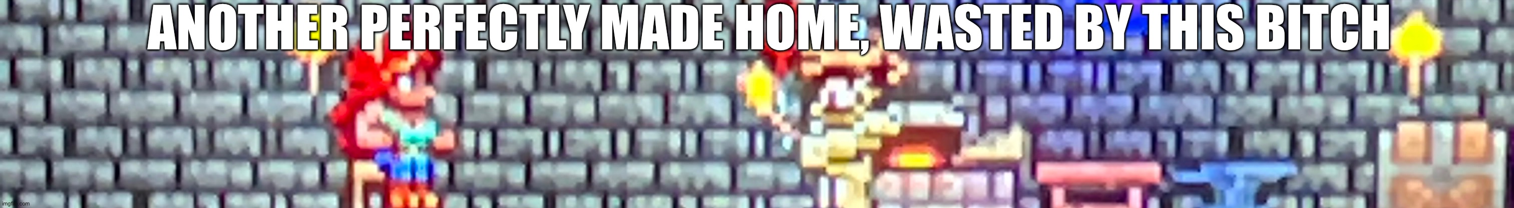 ANOTHER PERFECTLY MADE HOME, WASTED BY THIS BITCH | made w/ Imgflip meme maker