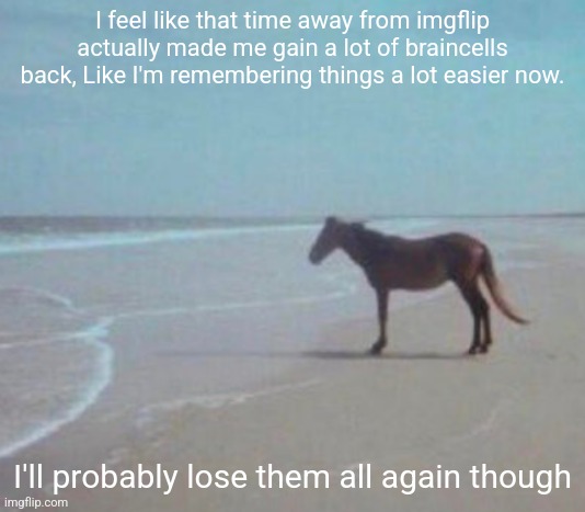 man. | I feel like that time away from imgflip actually made me gain a lot of braincells back, Like I'm remembering things a lot easier now. I'll probably lose them all again though | image tagged in man | made w/ Imgflip meme maker