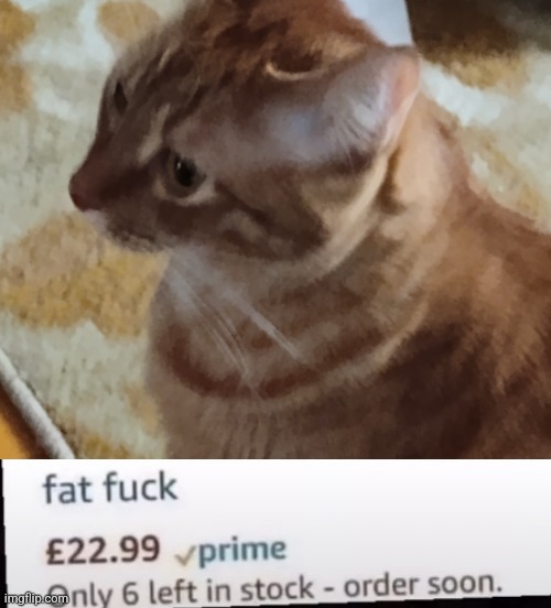 Fat fuck | image tagged in fat fuck | made w/ Imgflip meme maker