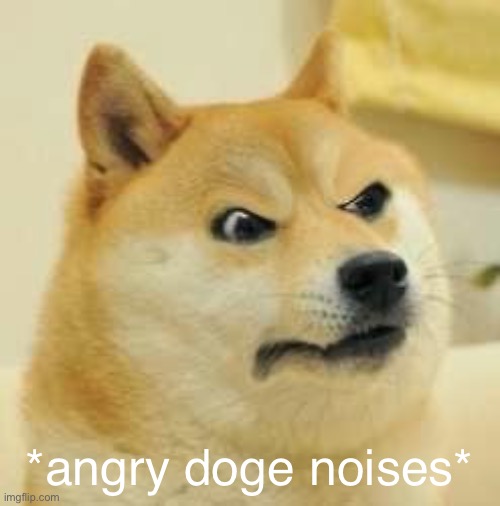 angry doge | *angry doge noises* | image tagged in angry doge | made w/ Imgflip meme maker